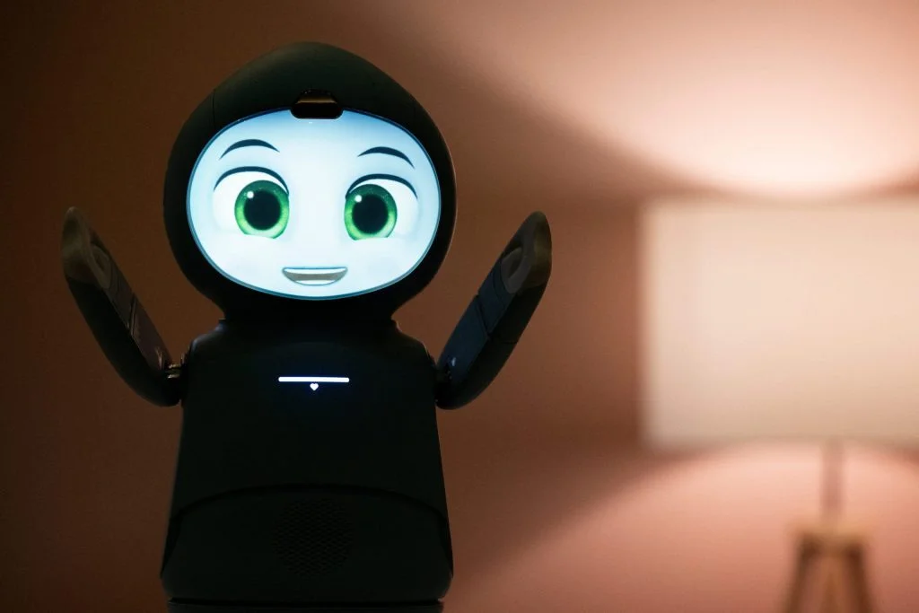 Why AI Companions Aren't Suitable for Children's Development