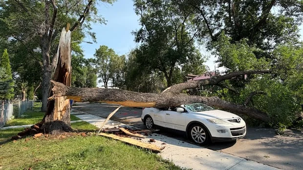 Edmonton Roads Gradually Reopen Following Severe Thunderstorm