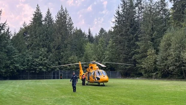 Climber Rescued After Suffering Over 100 Wasp Stings in British Columbia