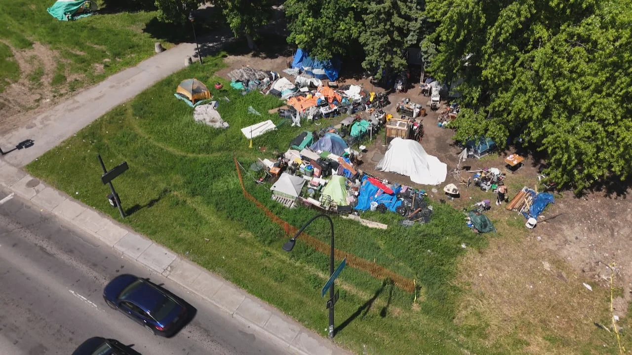 Montreal's Mayor Considers Legal Action Over Baby Found in Encampment