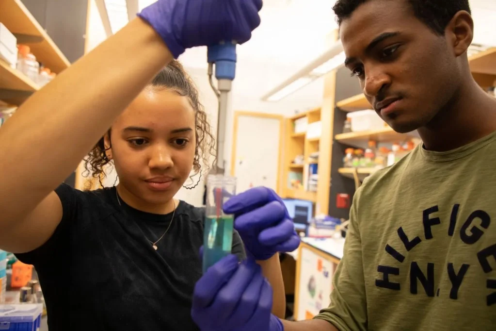 Addressing the Underrepresentation of Black Professionals in STEM